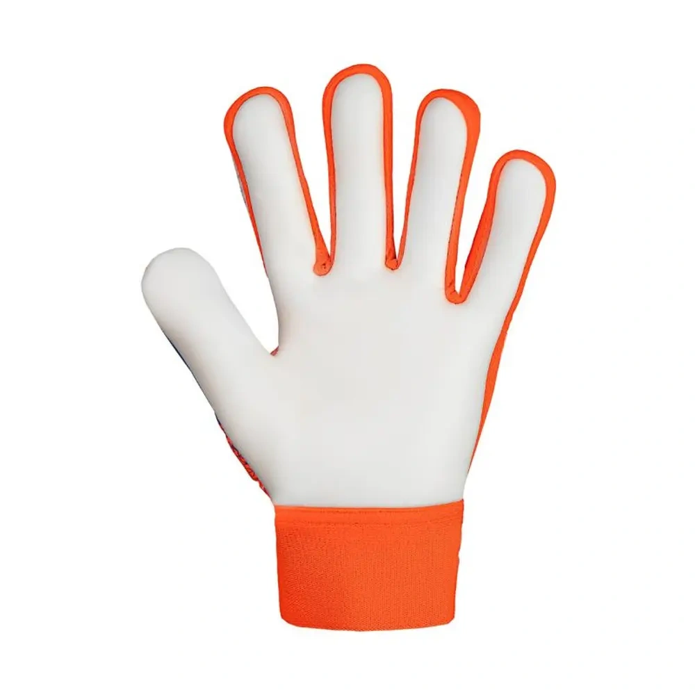 xlarge-clean_0160488a0d979f82.webp