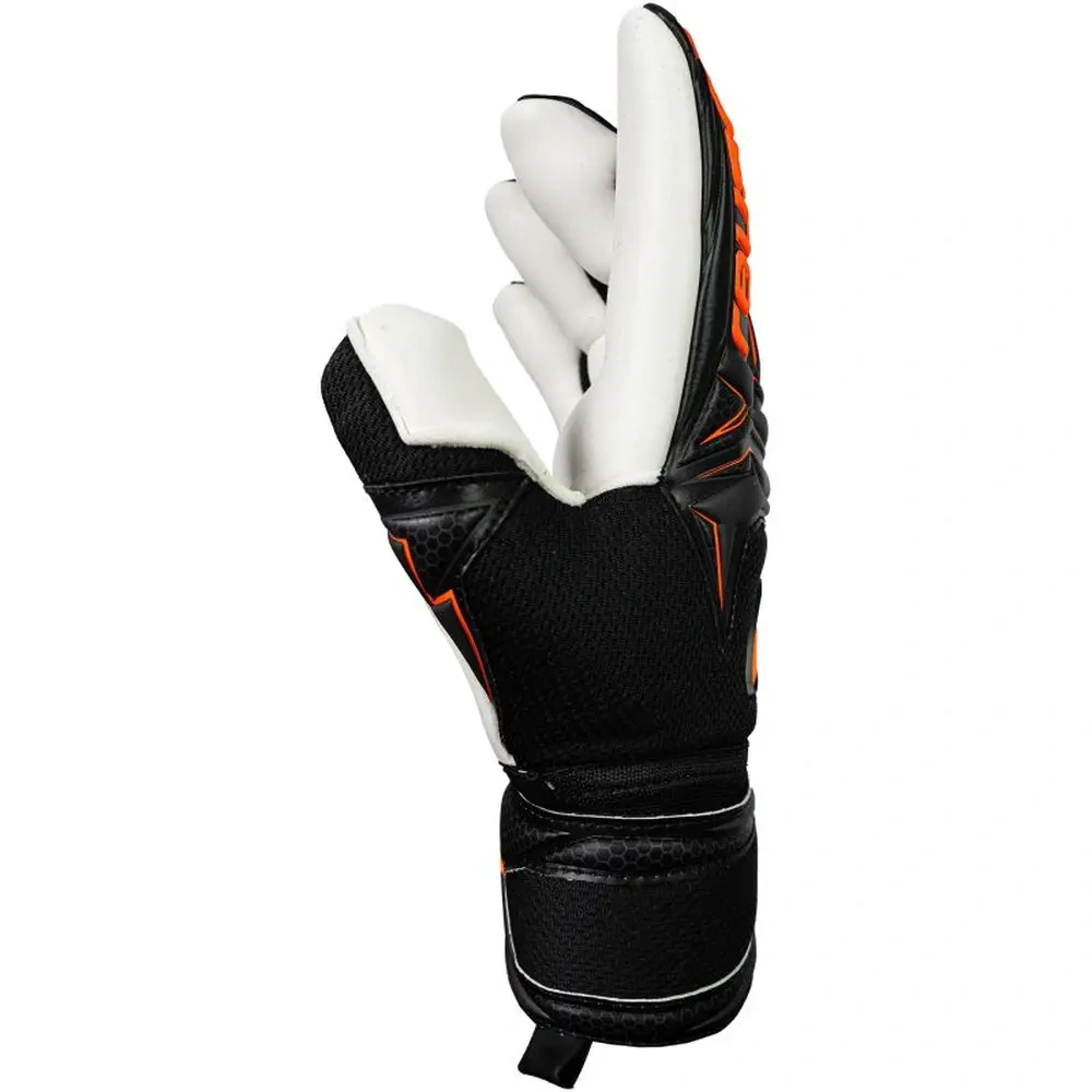 xlarge-clean_028055e892748ef9.webp