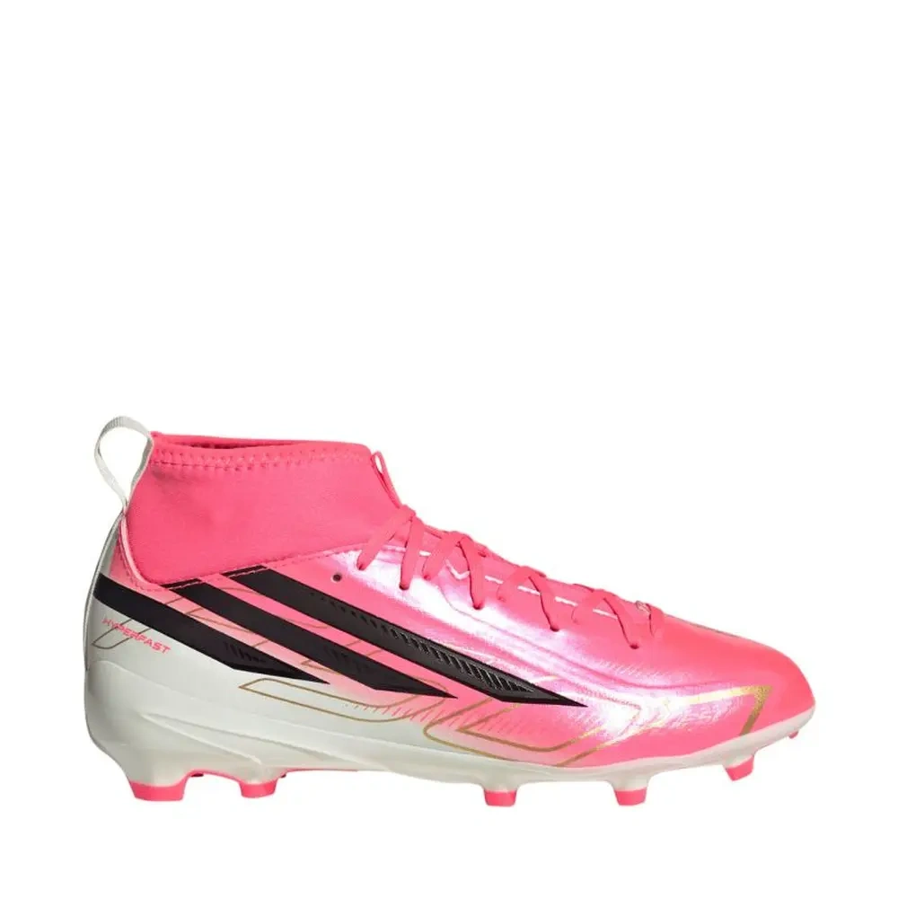 xlarge-clean_0366cecda4d83cc8.webp