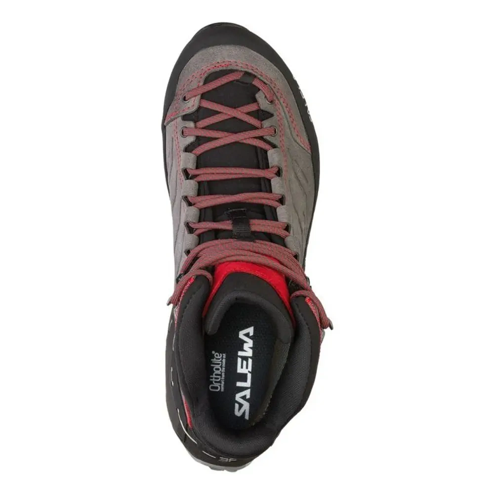 xlarge-clean_03a578c23b4ad235.webp