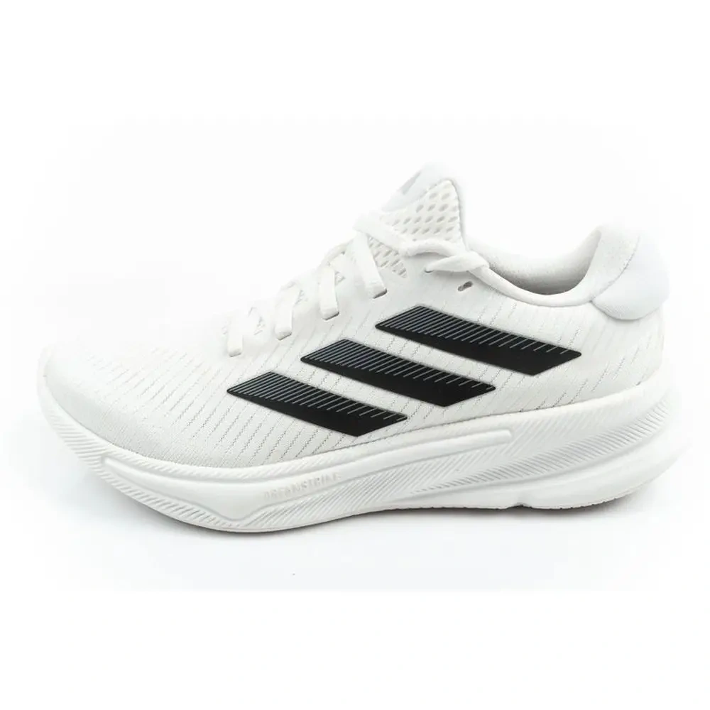 xlarge-clean_04a7b71474d4fee3.webp