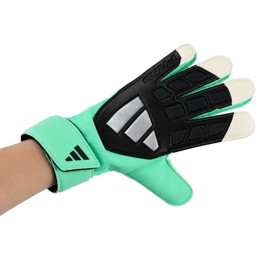xlarge-clean_0666a1eb64f91515.webp
