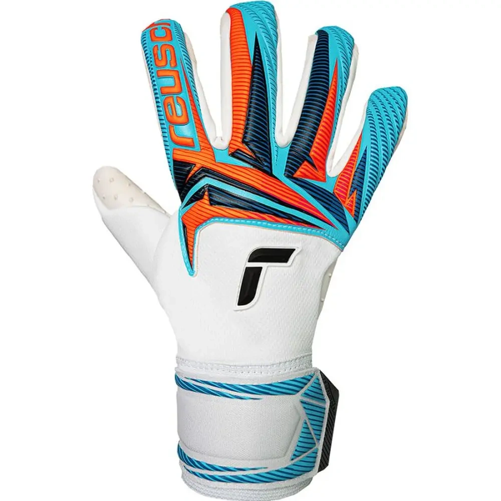 xlarge-clean_074ad3b479ea0ba8.webp