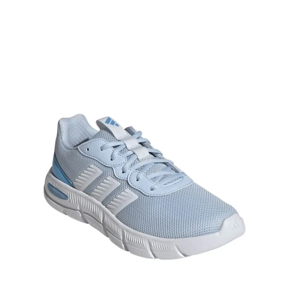 xlarge-clean_08083a0c43c507d0.webp