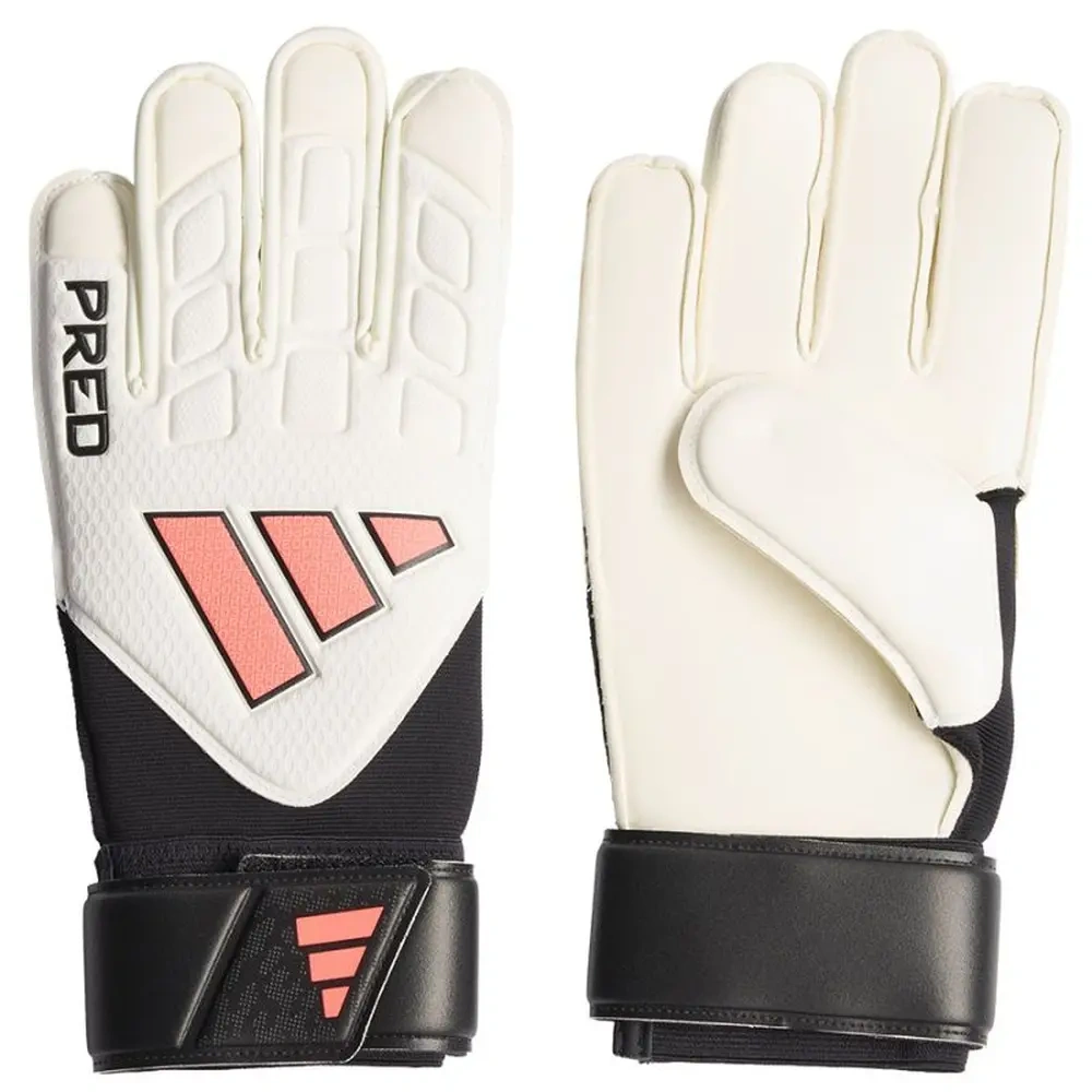xlarge-clean_0df67c330b43d11d.webp