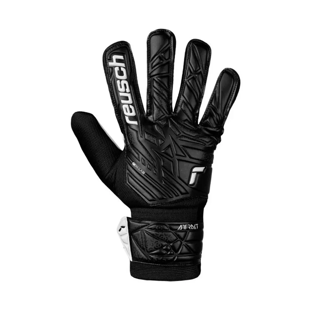 xlarge-clean_119cf3a42dcb098a.webp