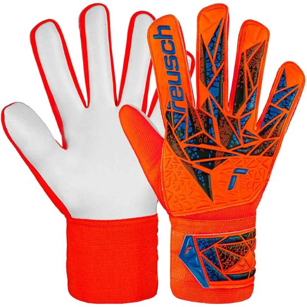 xlarge-clean_121458f02918d283.webp