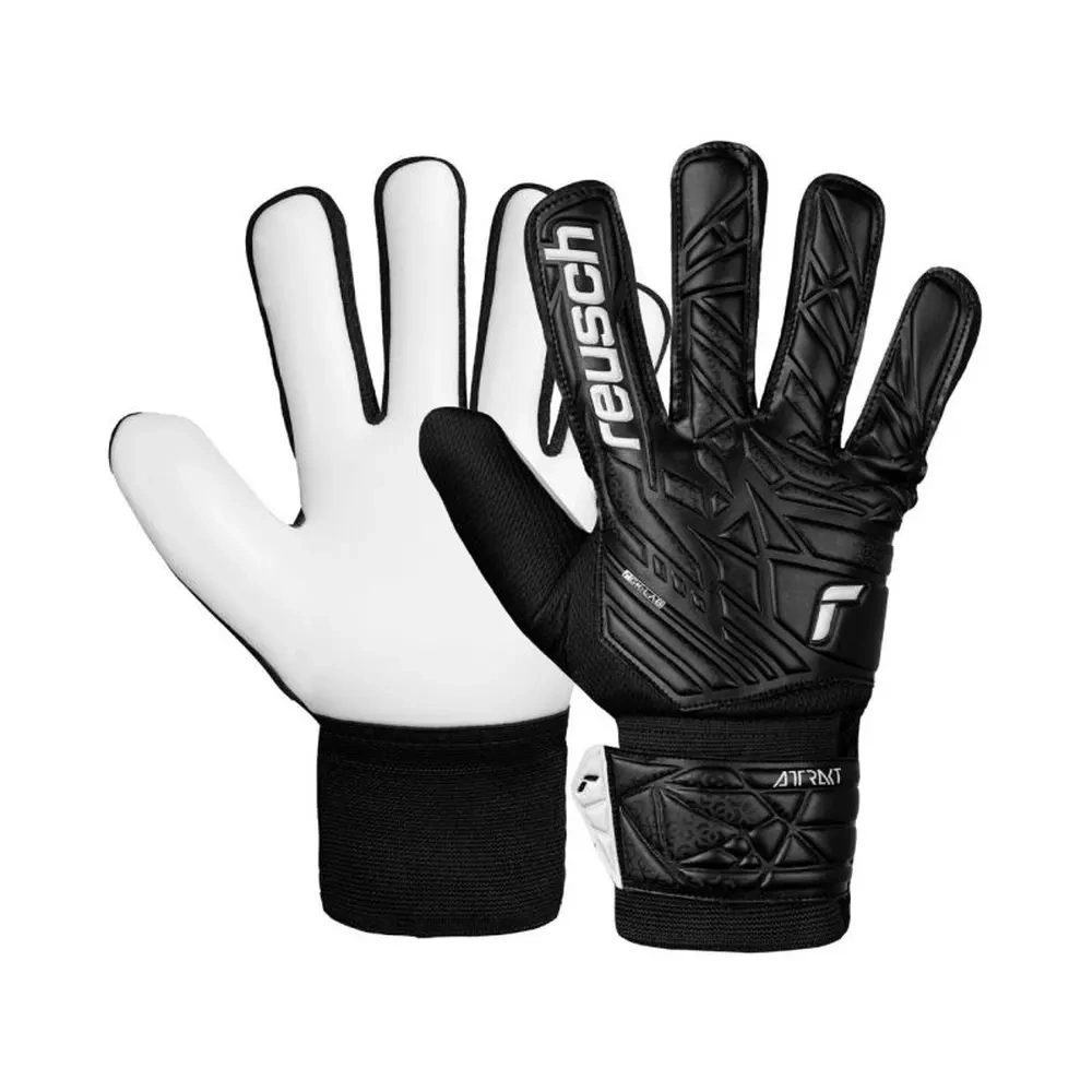 xlarge-clean_1462176b70469552.webp
