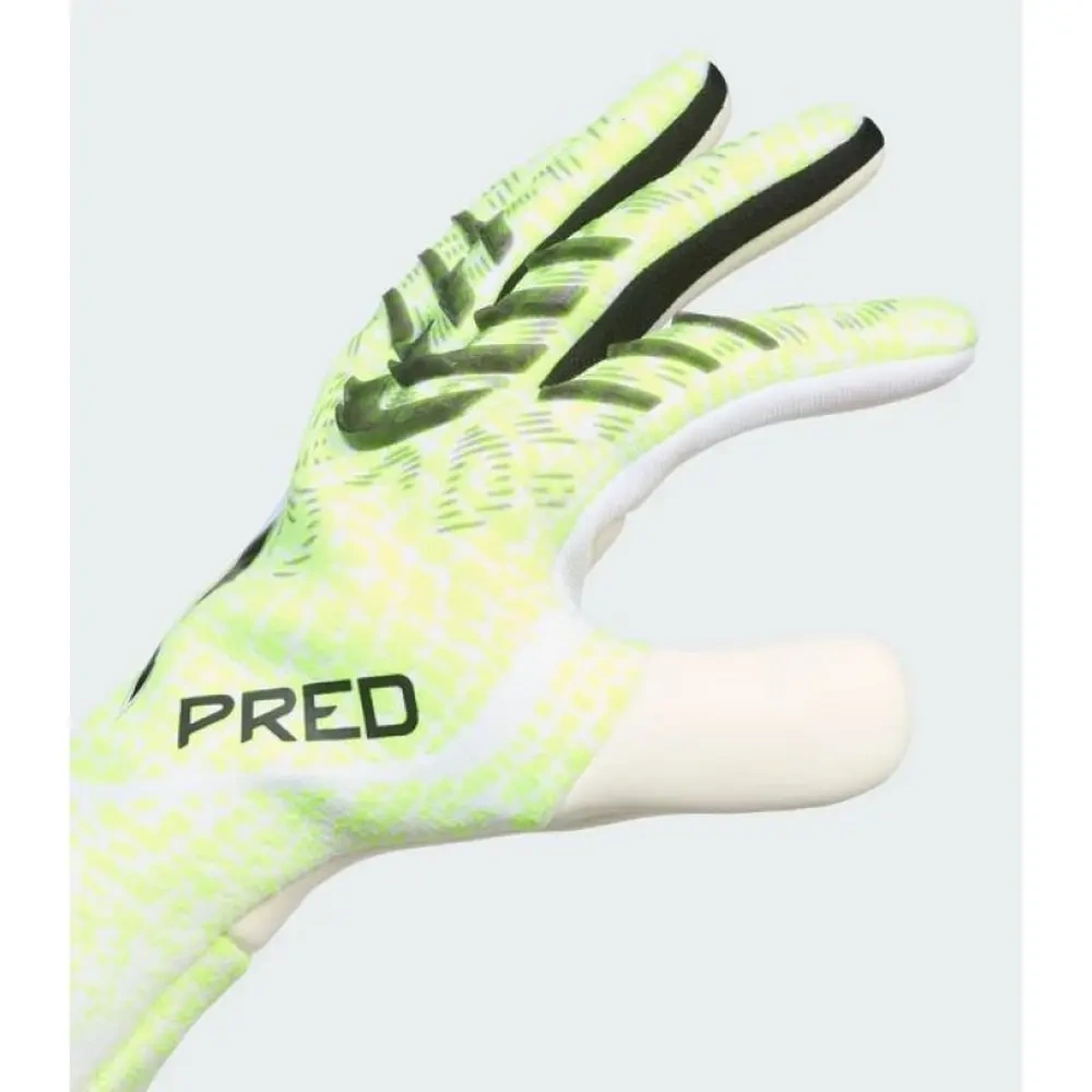 xlarge-clean_17df270c65ef5a1b.webp