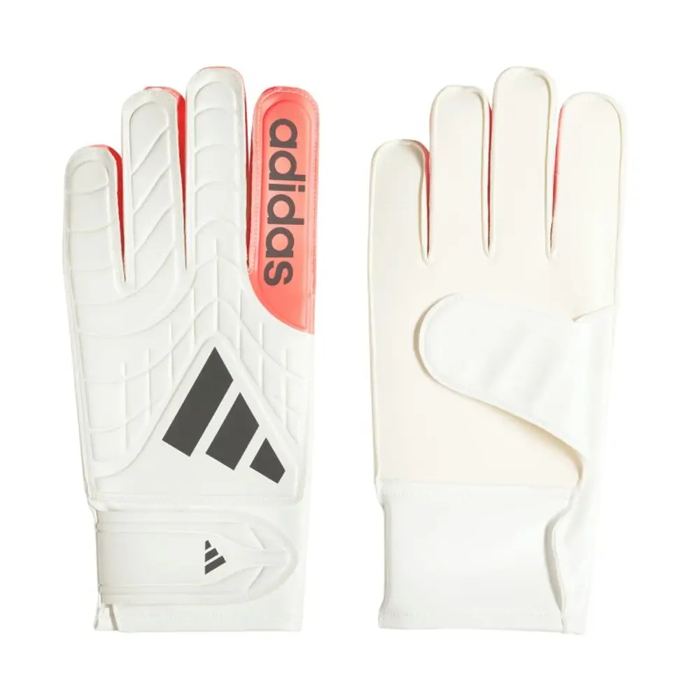 xlarge-clean_17fe32739973e91b.webp
