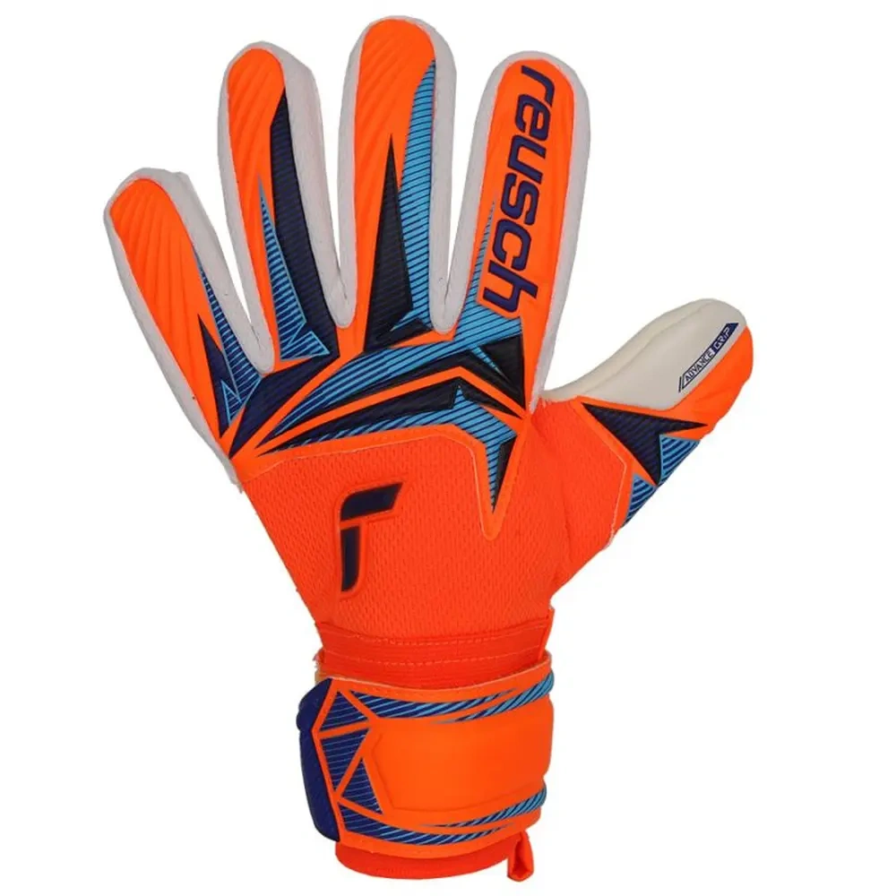 xlarge-clean_18ed5296b2ab437b.webp