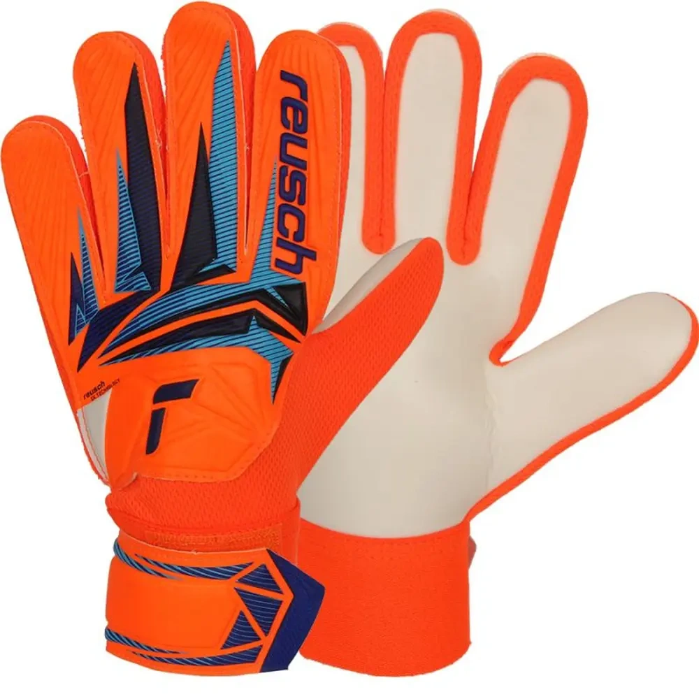 xlarge-clean_19c6a7262d1b20a7.webp