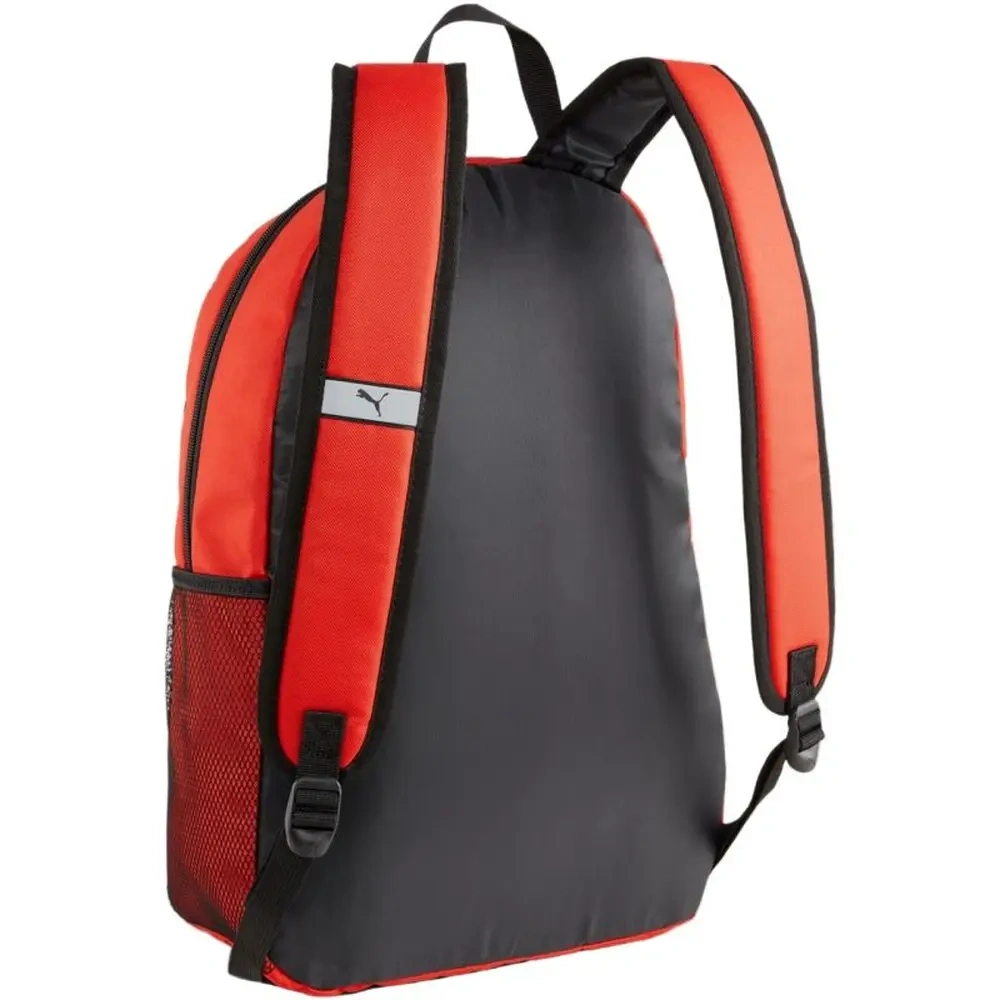 xlarge-clean_1ff0007f5aad9e76.webp