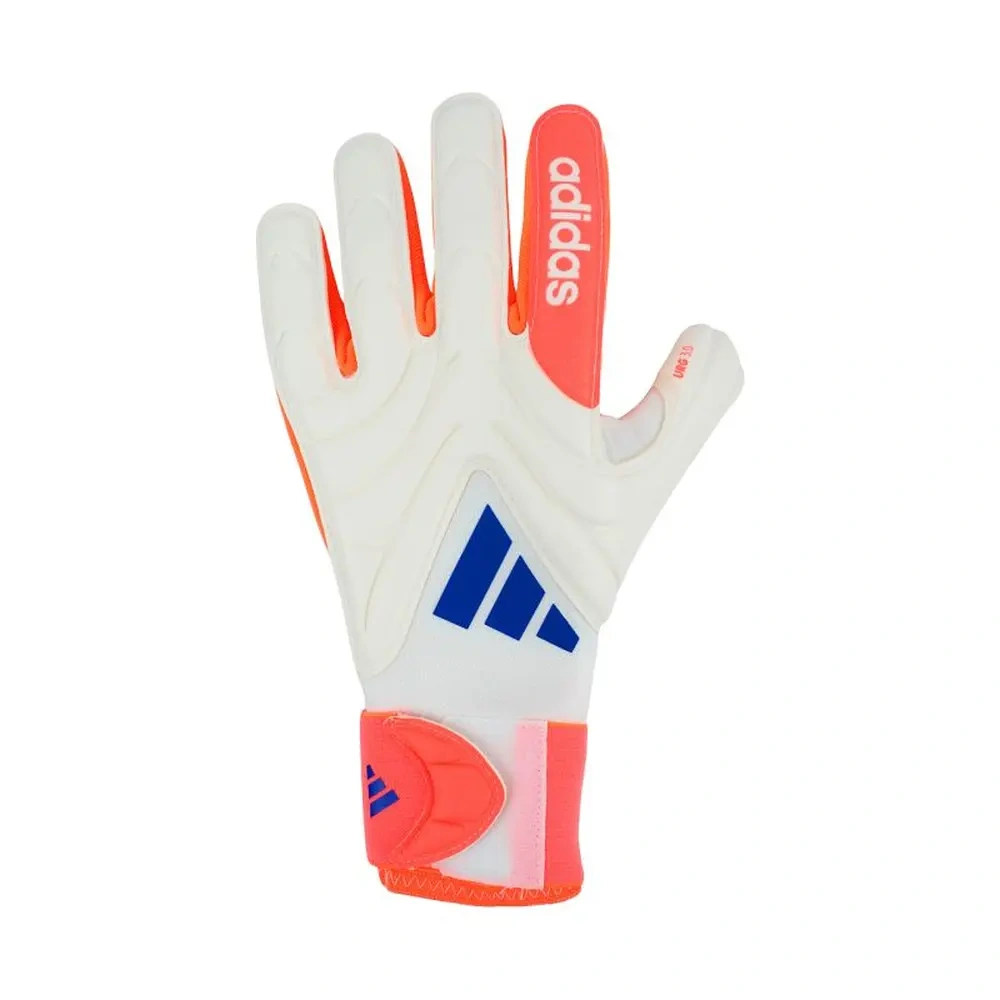 xlarge-clean_227595378f4786b2.webp