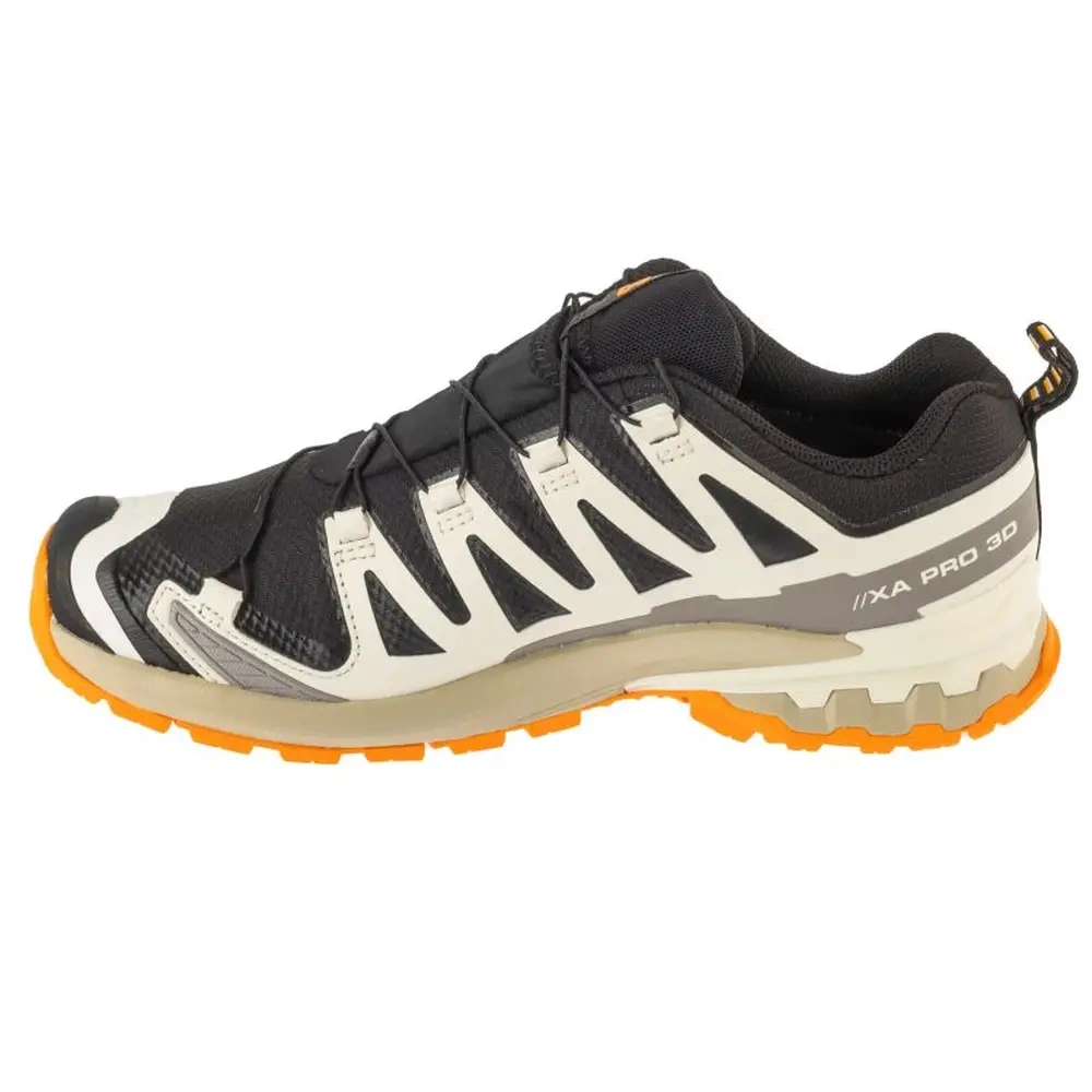 xlarge-clean_250b8697a4d0a90f.webp
