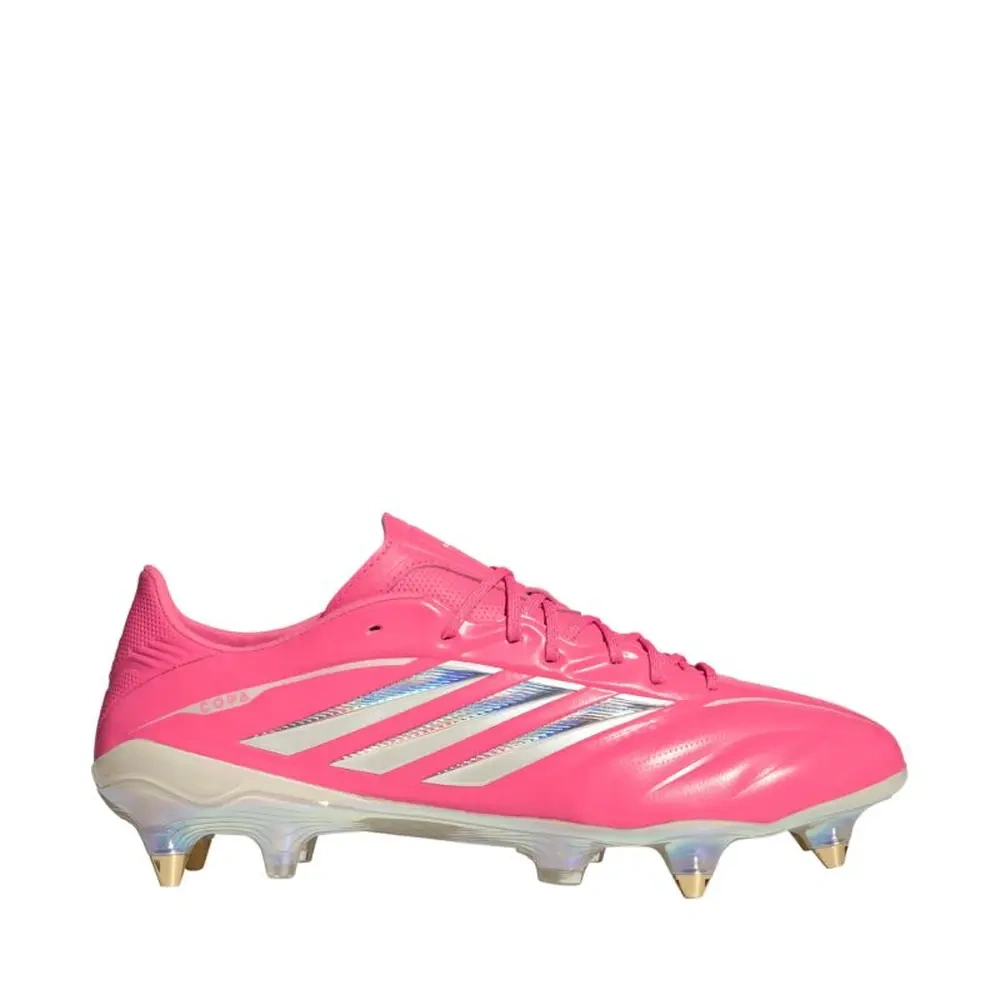xlarge-clean_256bb9f1499052bb.webp