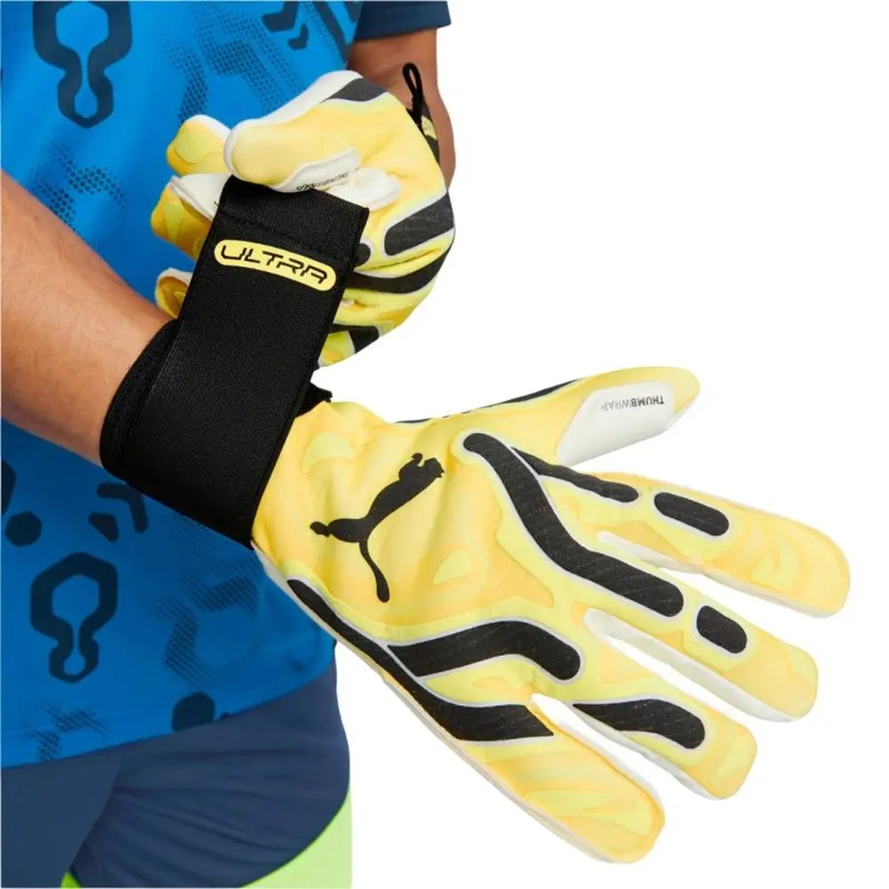 xlarge-clean_277c166fb9b6661c.webp