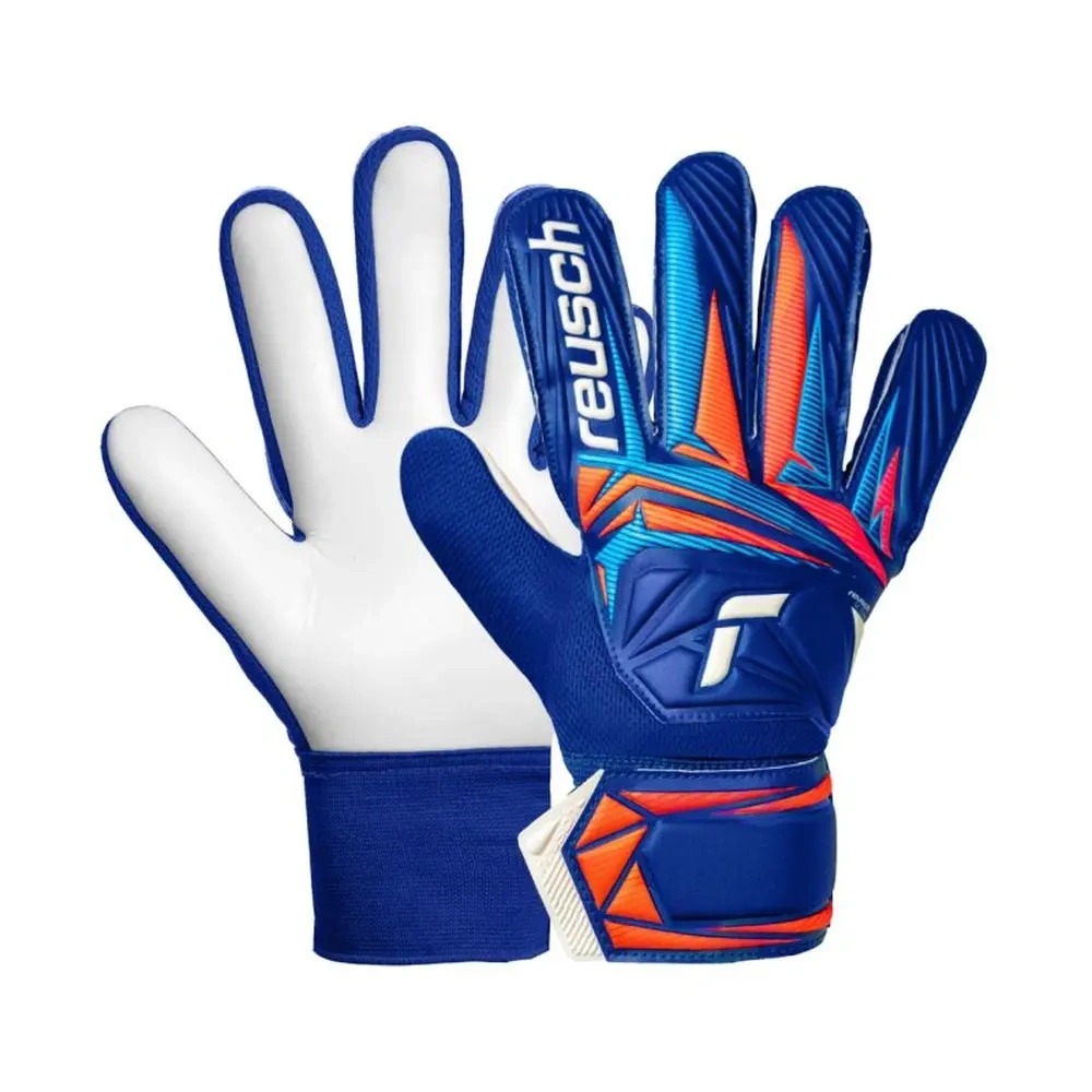 xlarge-clean_28c52a97b47311da.webp