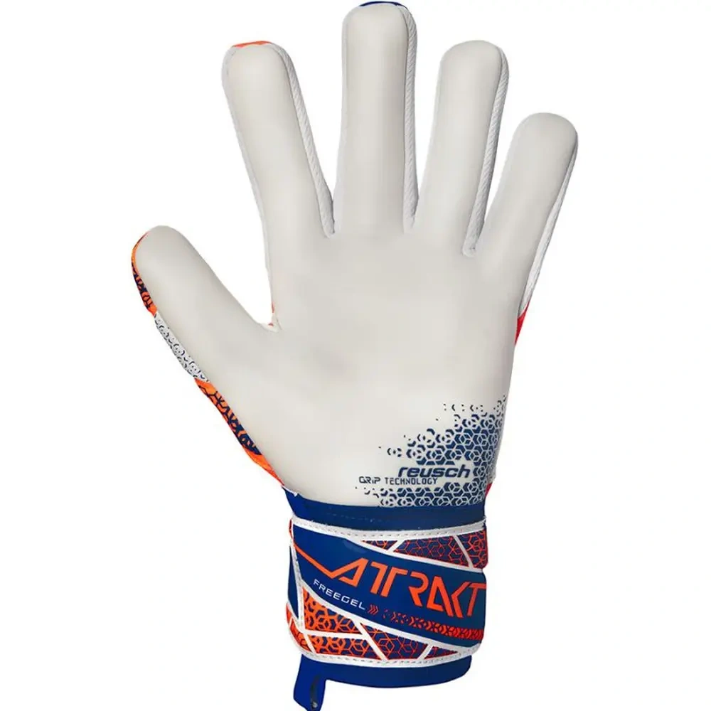 xlarge-clean_2b74f05dc39394d8.webp