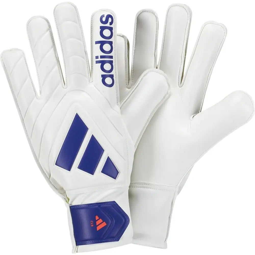xlarge-clean_2c18e48277ed5565.webp