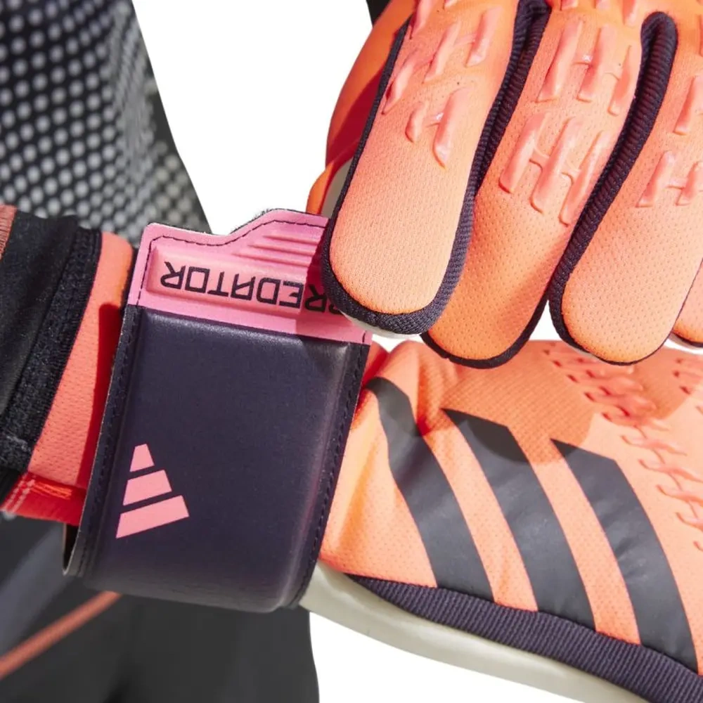 xlarge-clean_2c1e504d5c3c829d.webp