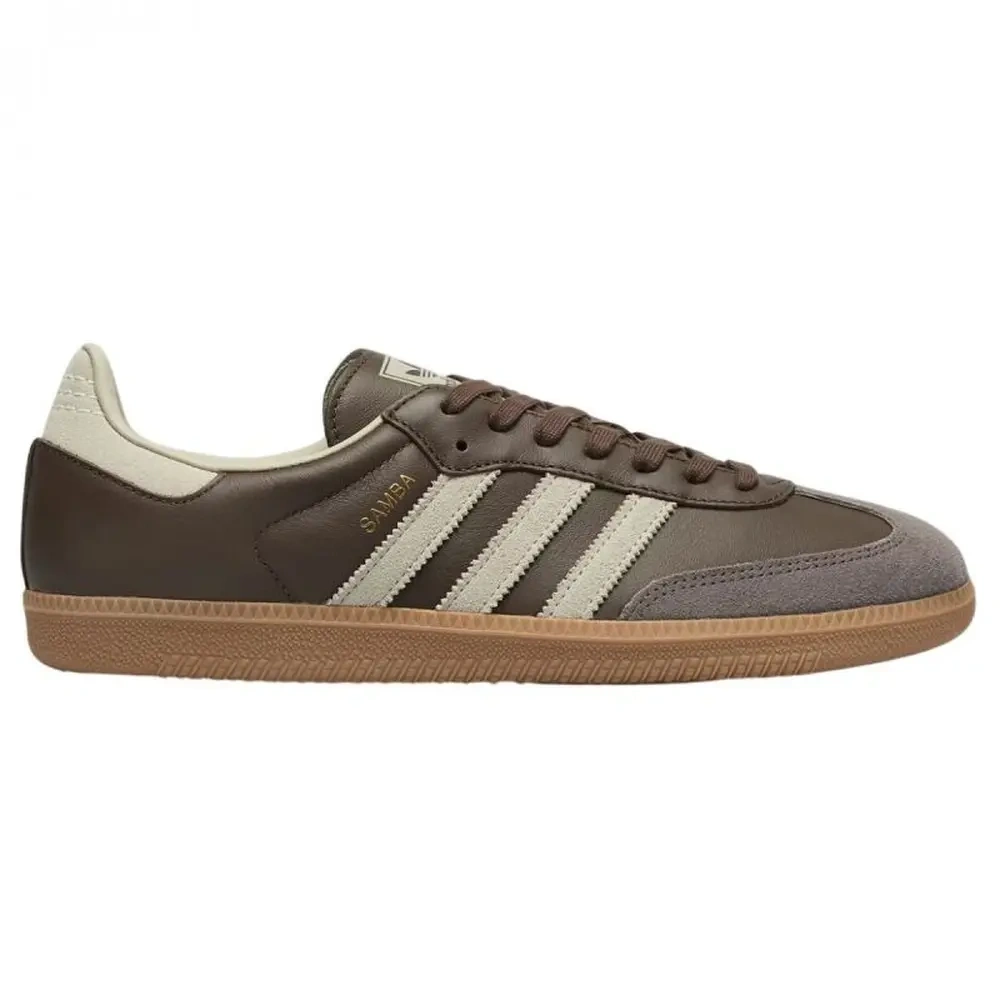 xlarge-clean_2c5d141cc703f806.webp