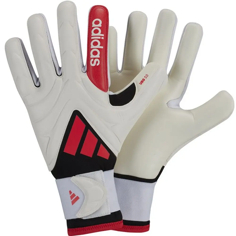 xlarge-clean_2f1c51a195a5f6f1.webp