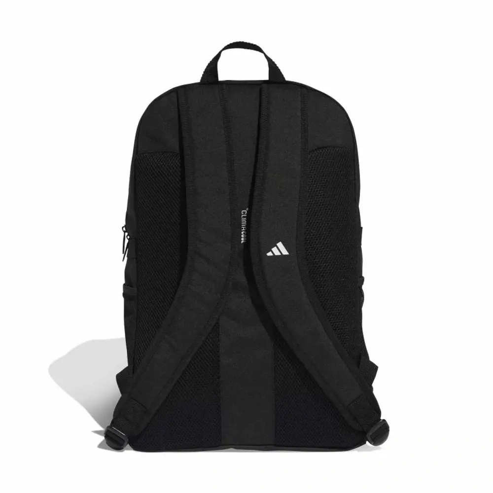 xlarge-clean_2fef81412164e56e.webp