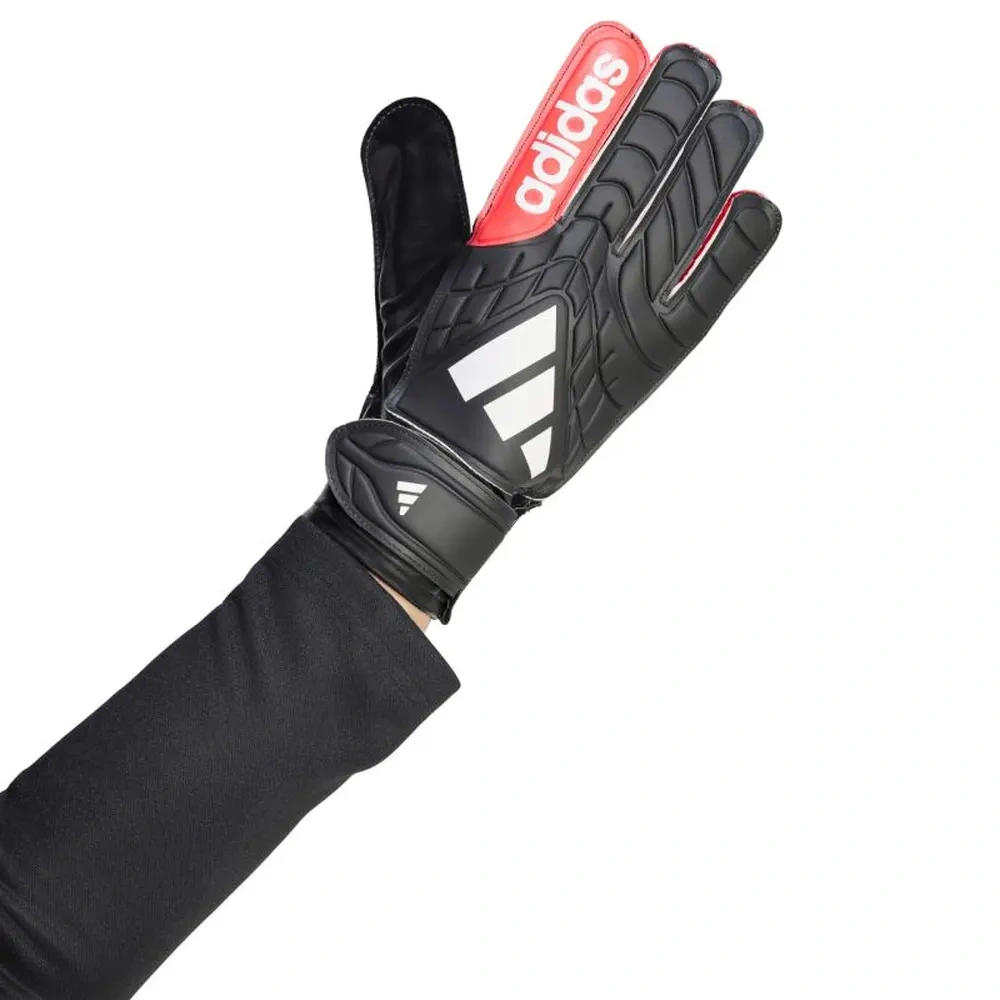 xlarge-clean_30dfd6899379b997.webp