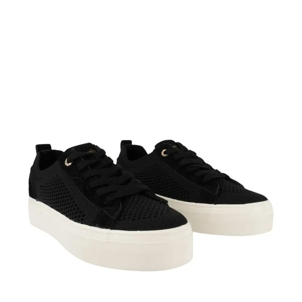xlarge-clean_32e458c5e9047253.webp