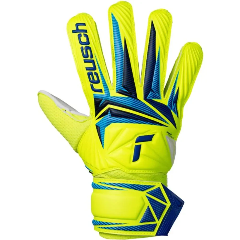 xlarge-clean_33eaff17b3324290.webp