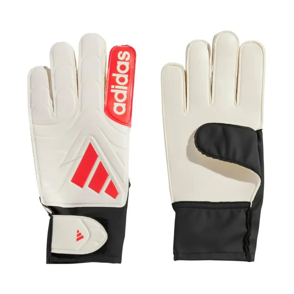 xlarge-clean_36f661c8e8970aef.webp