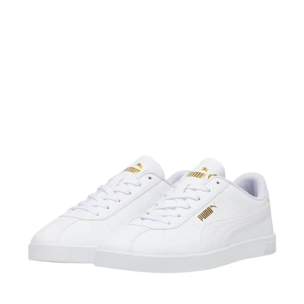 xlarge-clean_38ba1394c4b8da18.webp