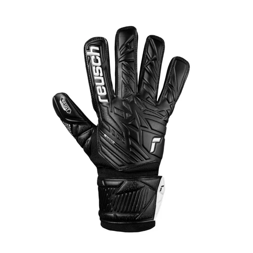 xlarge-clean_3905d2e89eb08c43.webp