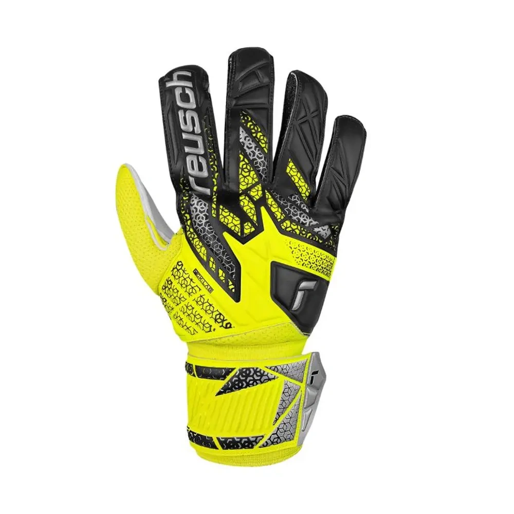 xlarge-clean_3a9a1ea33ea4add8.webp