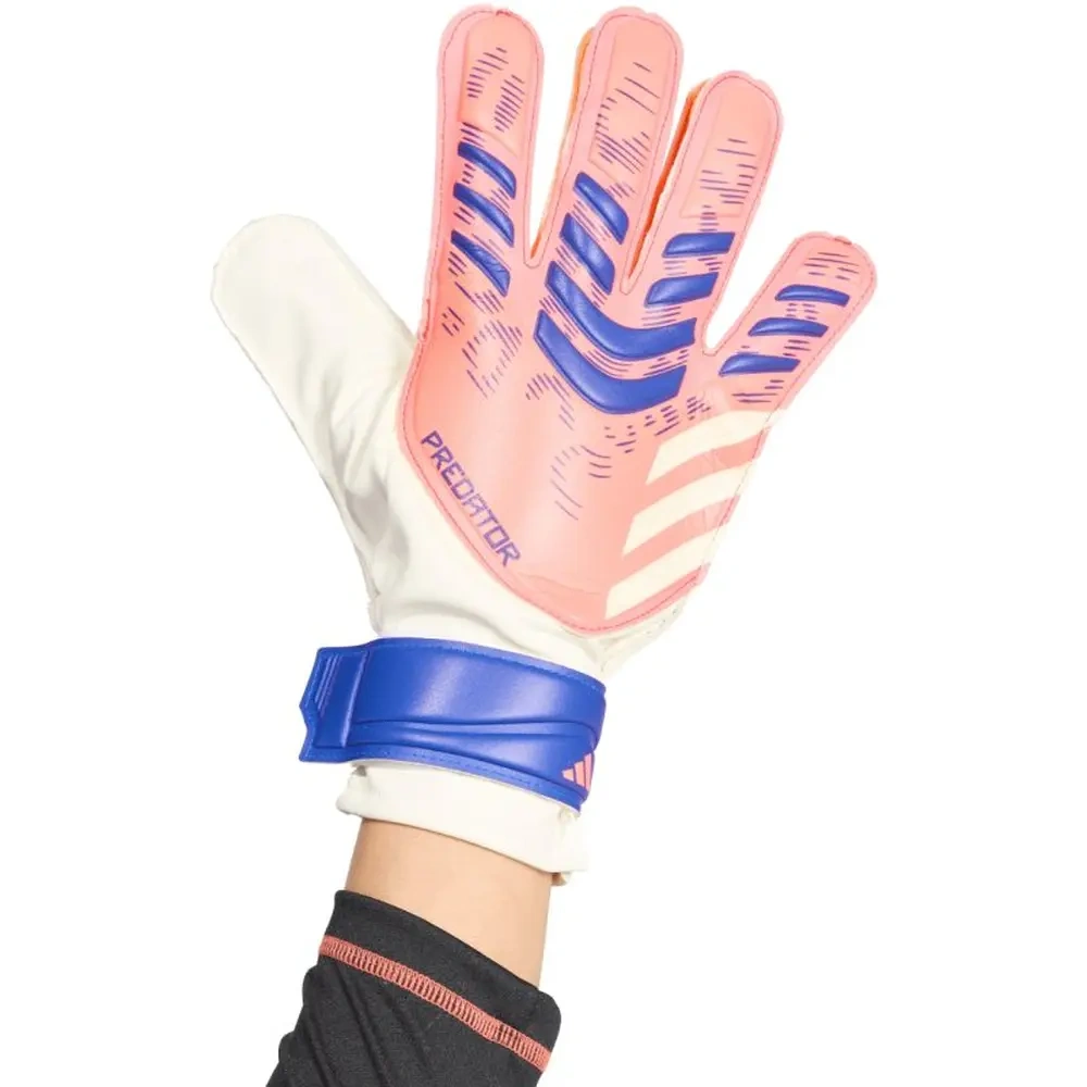 xlarge-clean_3ba6a254a2196161.webp
