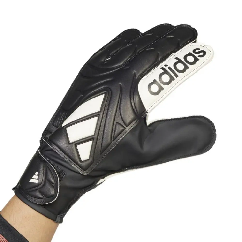 xlarge-clean_3c3a3b84cc421508.webp