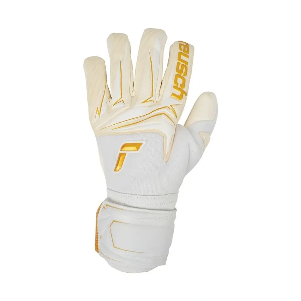 xlarge-clean_3cba902eb5f89a98.webp