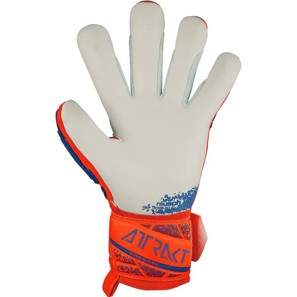 xlarge-clean_3db69b079367add0.webp