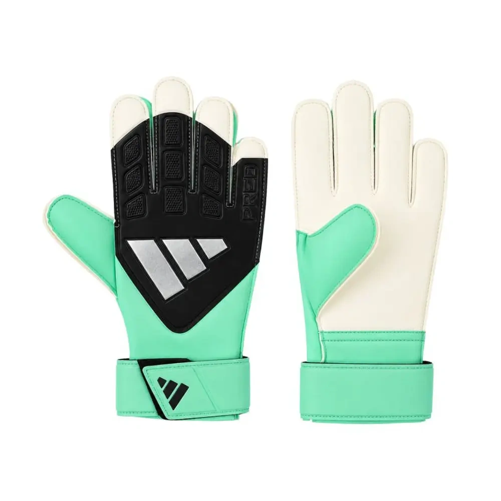 xlarge-clean_3db6e8dff659d63e.webp
