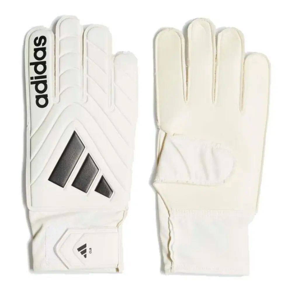 xlarge-clean_3e6c268a38f98b30.webp