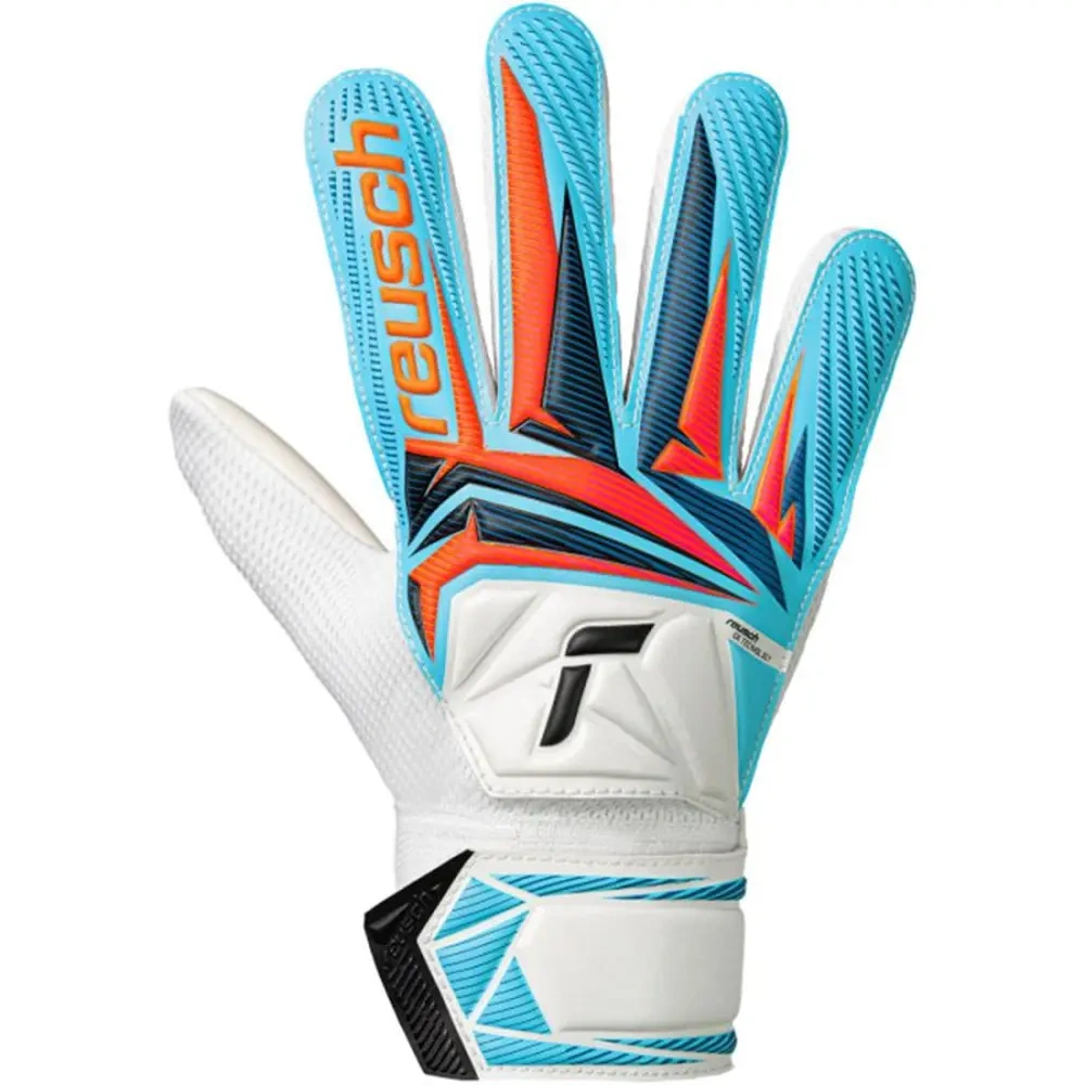 xlarge-clean_3fd0222cff42bdb3.webp