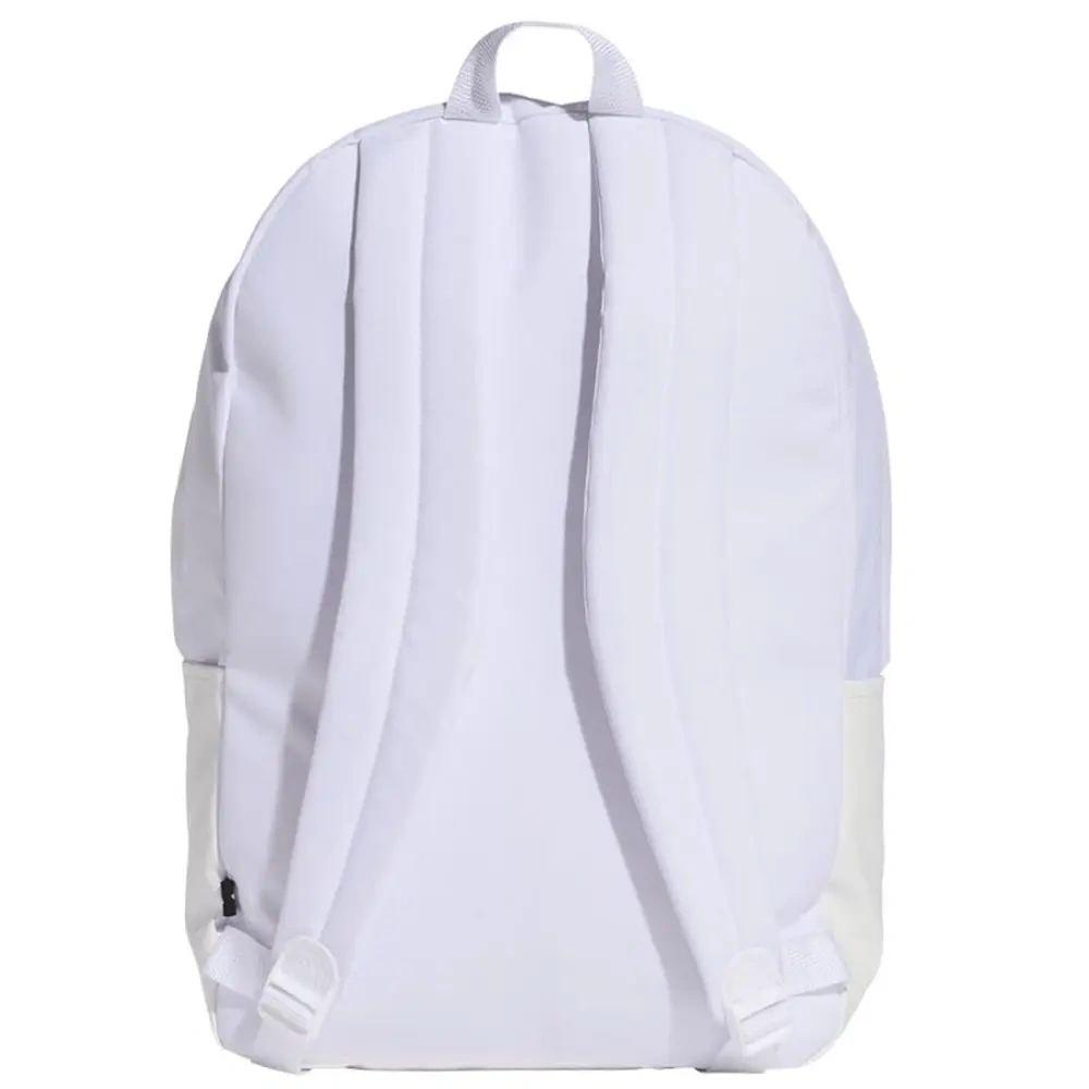 xlarge-clean_404b155d3caa9343.webp
