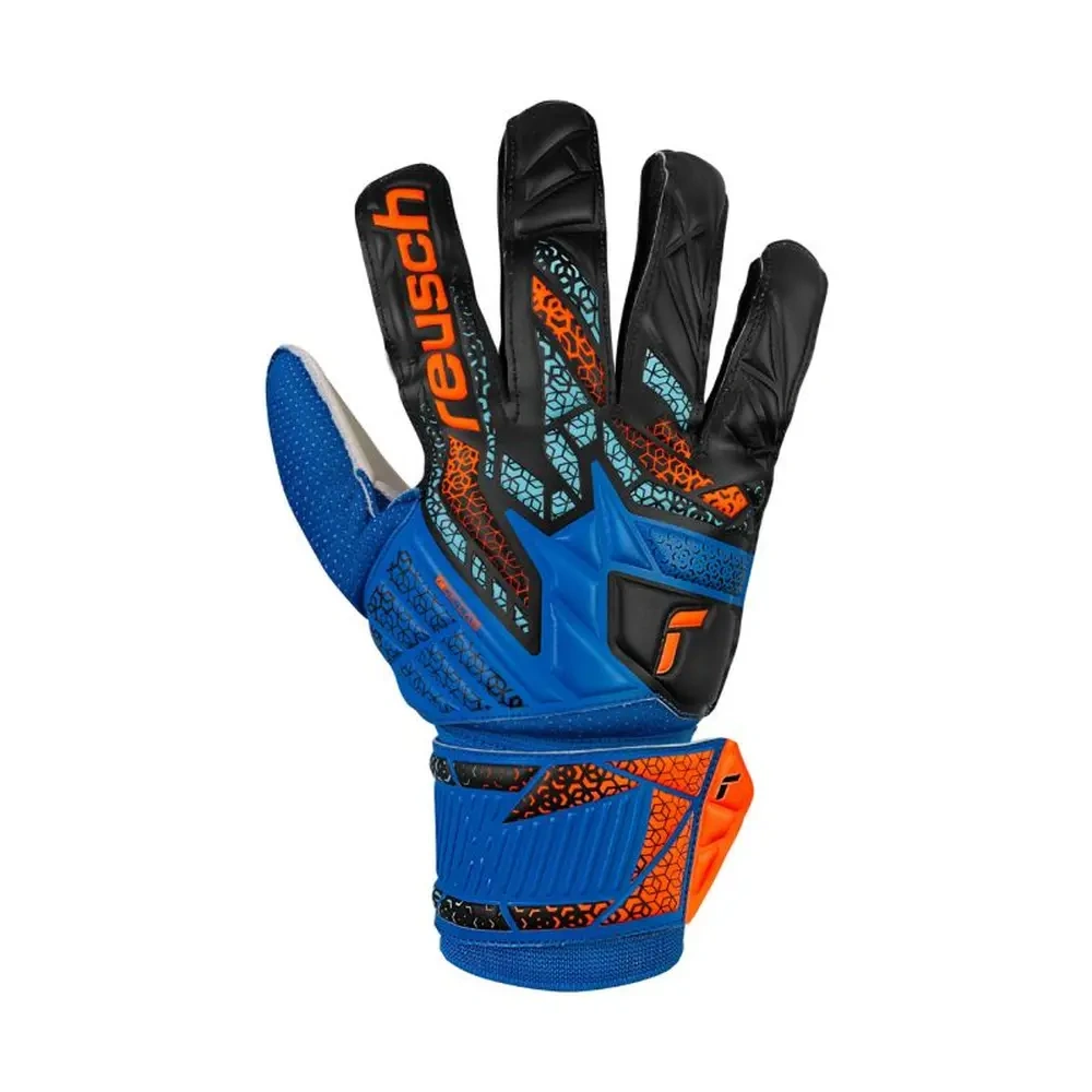 xlarge-clean_4209d09d03cf5c9e.webp