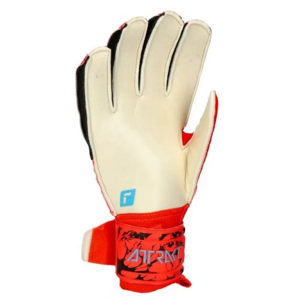 xlarge-clean_443afb1bb19d410f.webp