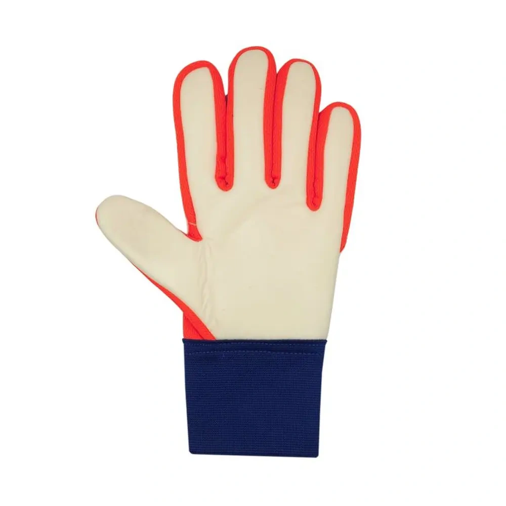 xlarge-clean_452e87e27a4a295a.webp