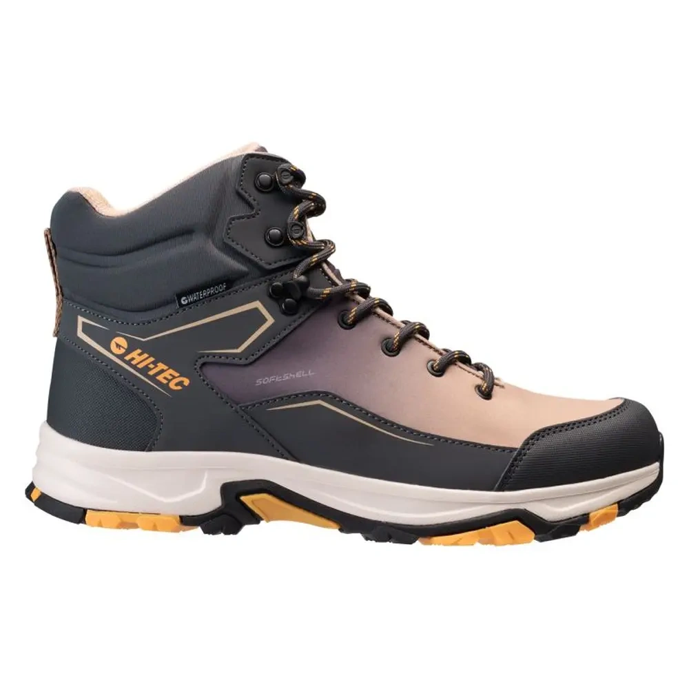 xlarge-clean_494f649da4f6ac71.webp