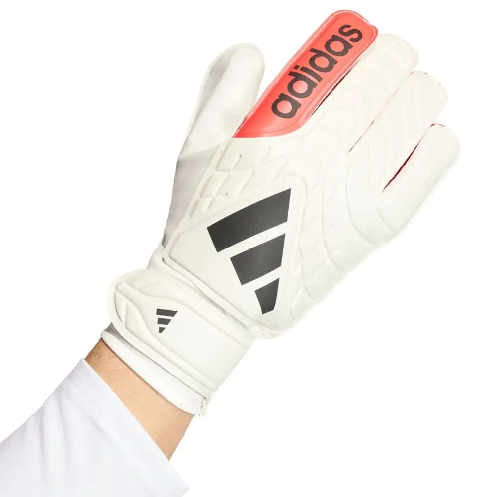 xlarge-clean_495b6d1dd7df93f8.webp