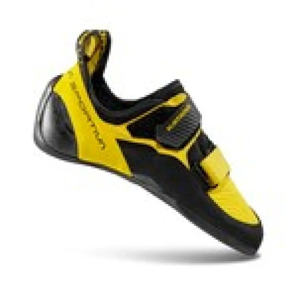 xlarge-clean_499bb734b72a073d.webp