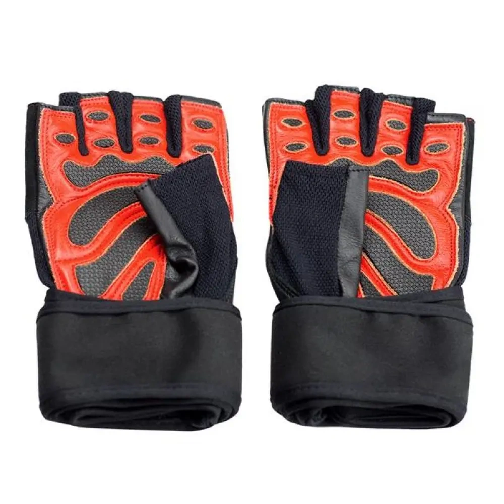 xlarge-clean_4b9d65cb57dc93e4.webp